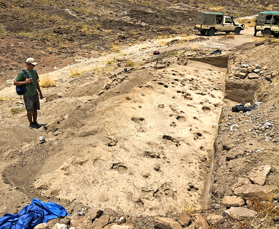 Mixed in with prints of hippopotomi and other animals are the tracks of eight individual hominins